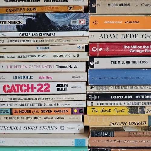 Classic novels you choose - novels,